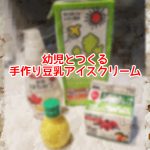 【乳・卵不使用】幼児とつくる手作り豆乳アイスクリーム