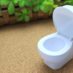 おまるは嫌!焦らなくて良かった保育園児のトイレトレーニングとおねしょ対策
