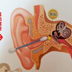 耳垢塞栓に注意!子どもの耳掃除の注意・頻度・やり方は?