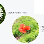 このお花のおなまえは?人工知能花分類システム「ハナノナ」。お散歩のお供におすすめ!