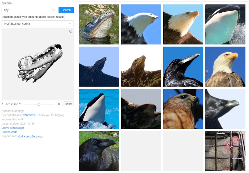 動物の頭部リファレンス探しにおすすめ！「Animal Photo References Search」