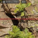 【UE5】メモリ不足時の対処方法
