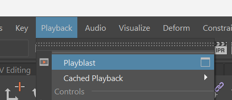 Maya Playblast settings